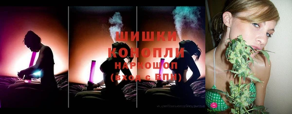 шишки Баксан