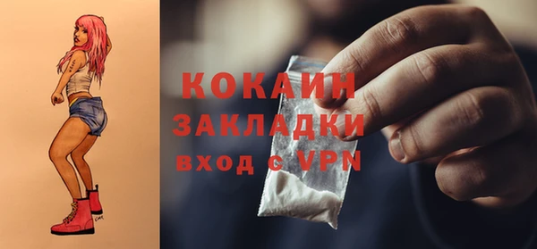 трава Сатка