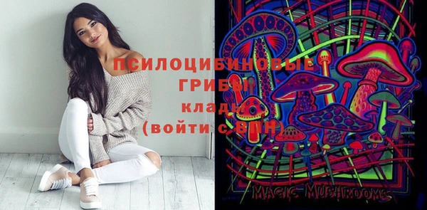 шишки Баксан