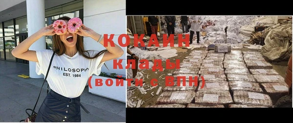 шишки Баксан