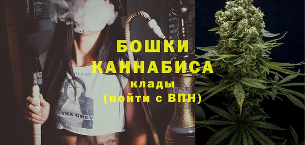 шишки Баксан