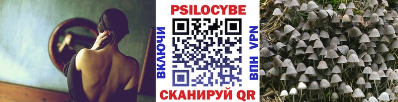 Галлюциногенные грибы GOLDEN TEACHER Высоцк